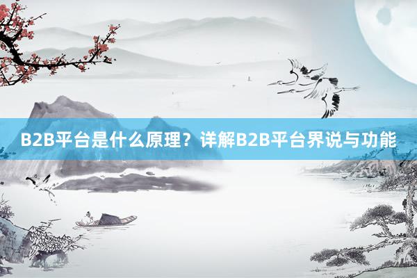 B2B平台是什么原理？详解B2B平台界说与功能